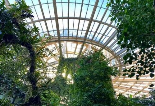 昆明植物园爆料视频大全,探秘植物王国奇观  第1张